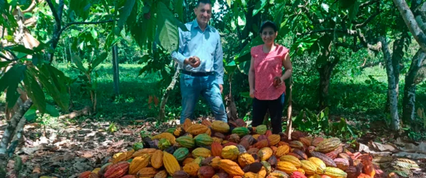 portada.cacao_.utadeo.2022.jpg