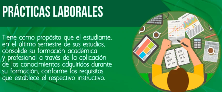 practicas_laborales.png