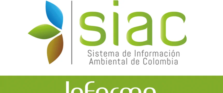 sin-titulo-12.gif