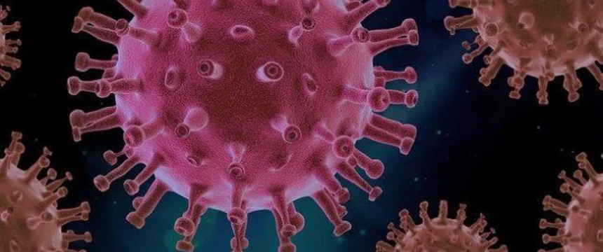 virus-4937553_640_1_0.jpg