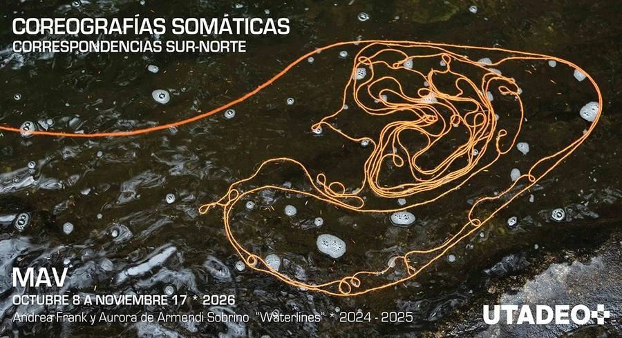 coreografías somáticas