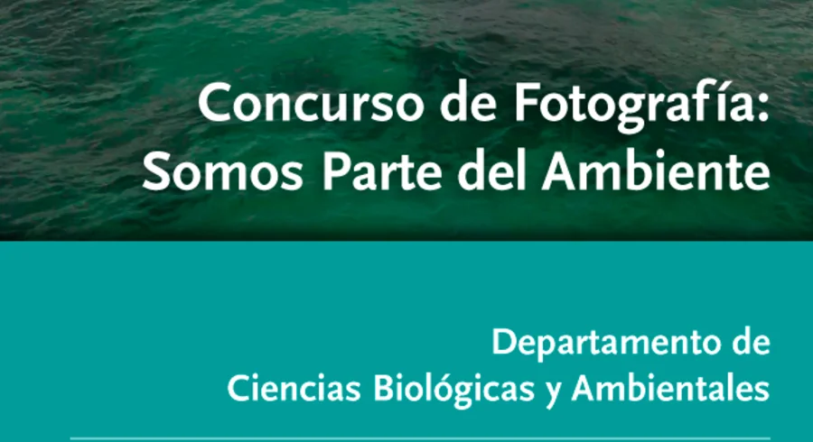 concursofoto.jpg