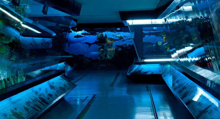 museo_del_mar2.jpg
