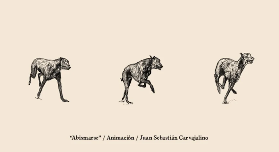 650-nota-tadeo-animal.jpg
