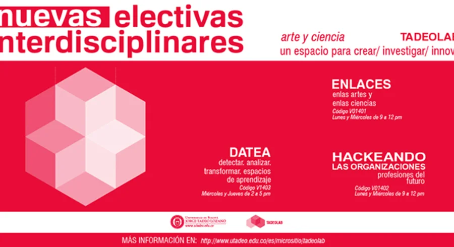 electivasinterdisciplinaresweb.jpg