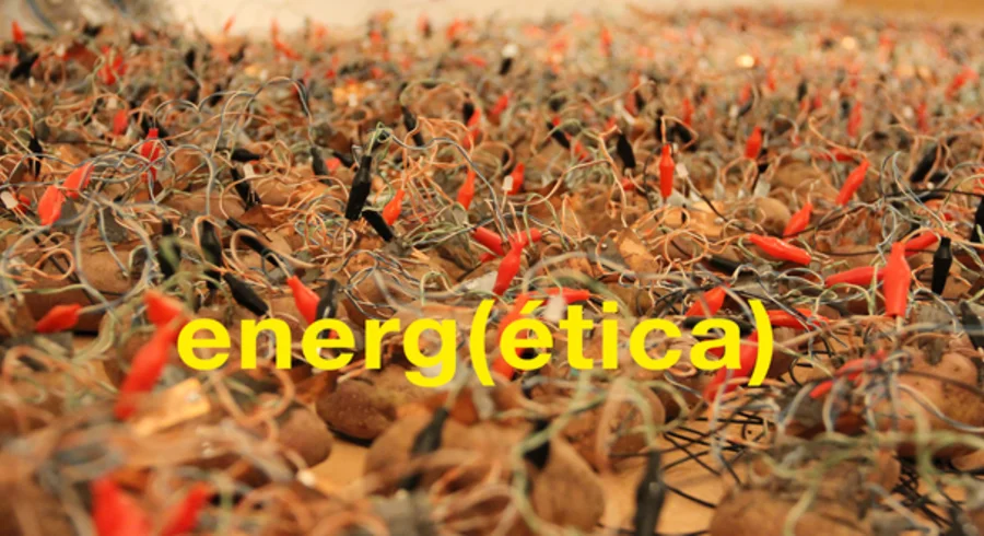 erngetica.png