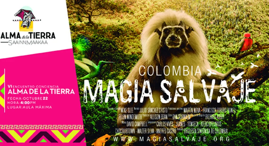 magia_salvaje-01.jpg