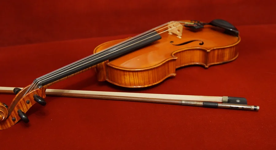 viola-1566624_960_720.jpg