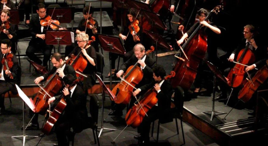 violines.jpg