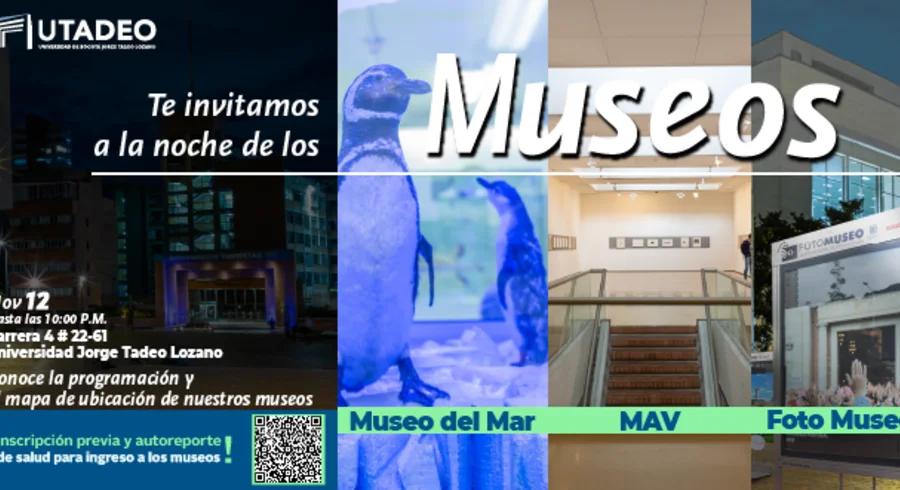 web-museo_noche_1.png
