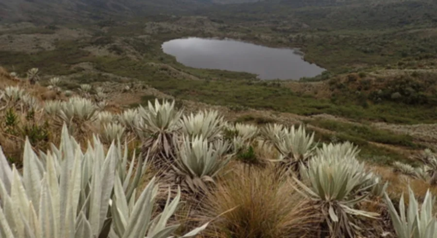 19amfoto_ambiente_mayo_11_m.jpg