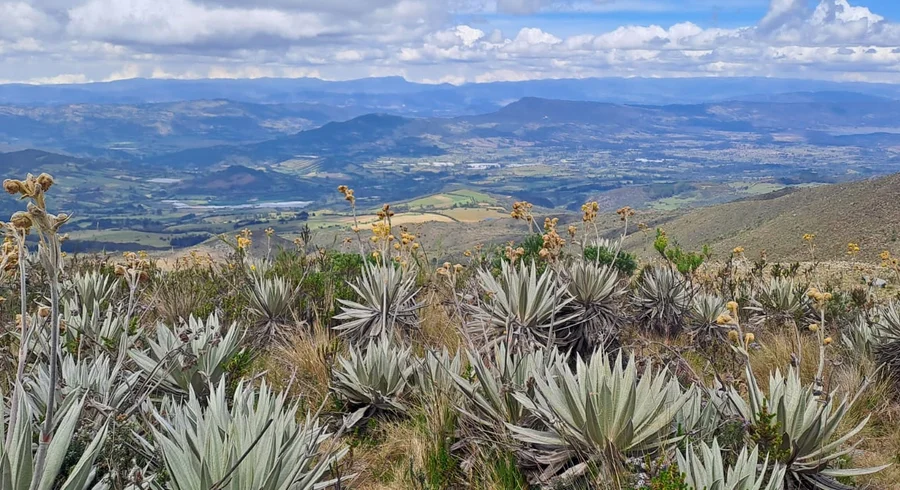 2_salida_de_campo_al_parque_nacional_natural_chingaza.jpeg