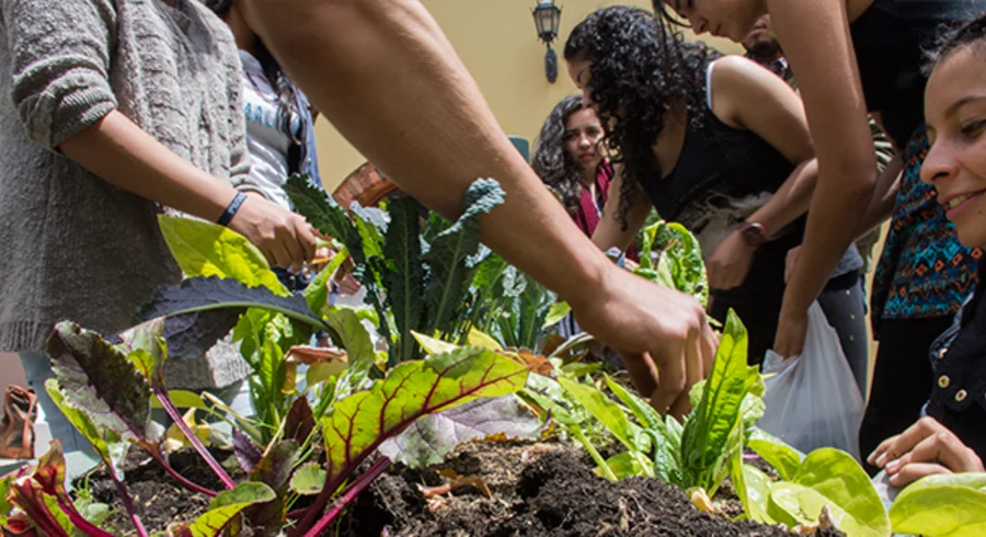 banner-noticia-tallerhuerta-semanaambiental.png