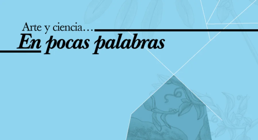 concurso-pocas-palabras.png