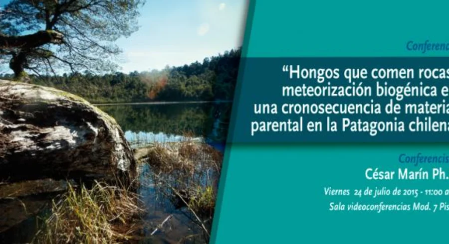 conferencia_hongos_bannermicrositio.jpg