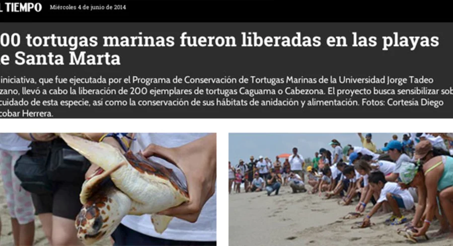 el-tiempo-tortugas.jpg