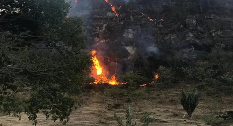 incendios_honda.fw_.png