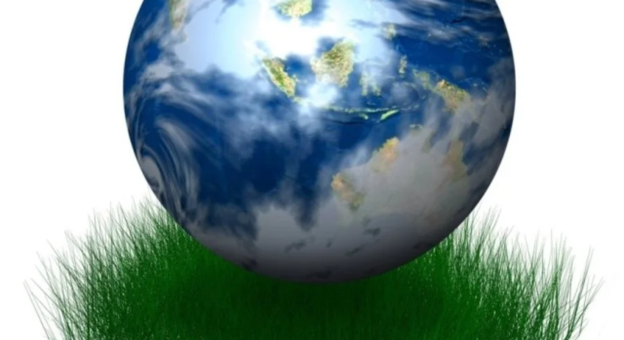 legislacion_ambiental.jpg