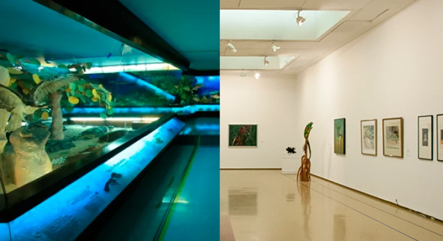 museos-tadeo.png