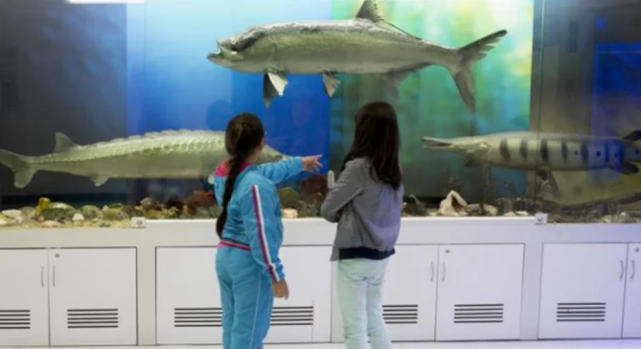 ninos_museo_del_mar_20150708_003.jpg
