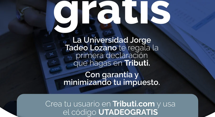 pieza_redes_1_tributi_u._tadeo.jpg