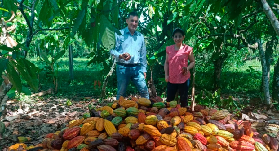 portada.cacao_.utadeo.2022.jpg