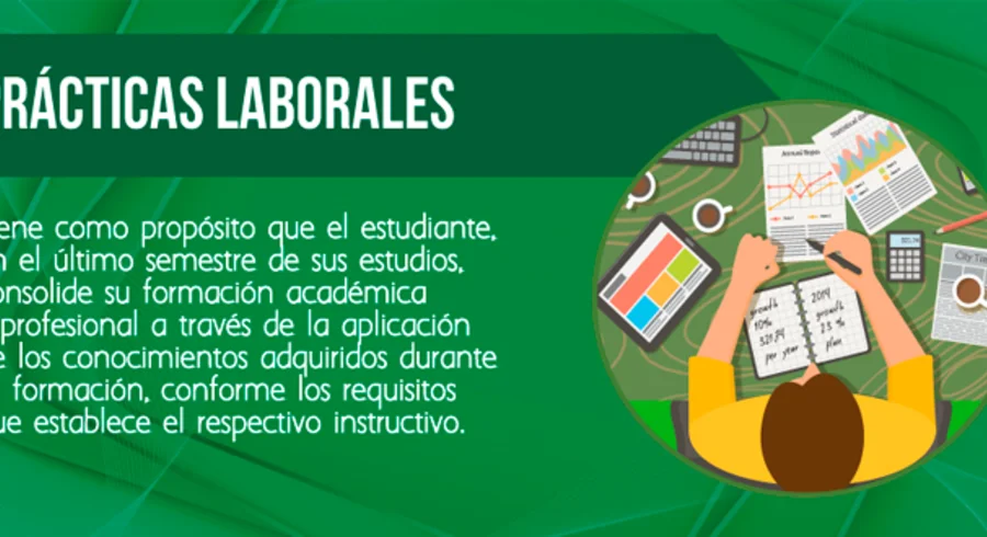 practicas_laborales.png