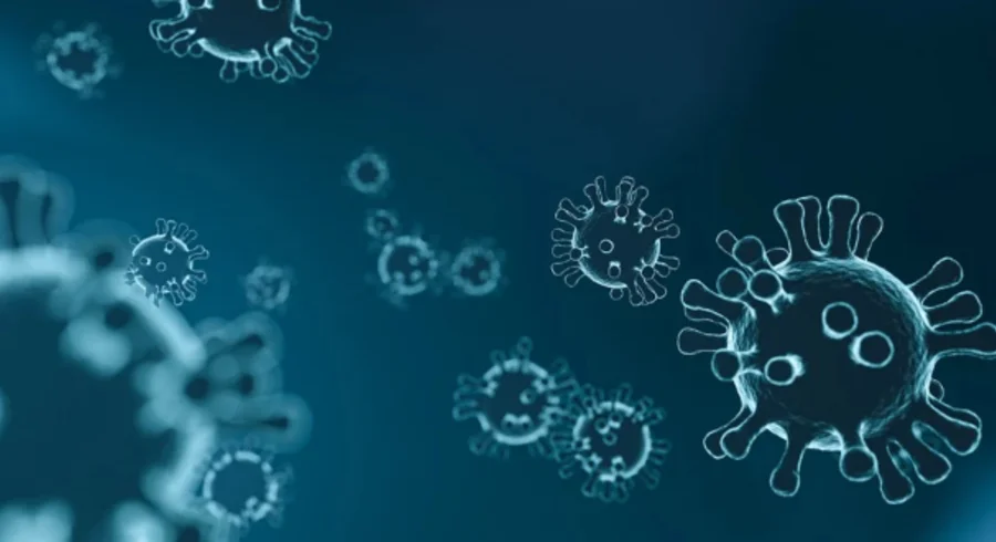 virus-4835301_960_720.jpg