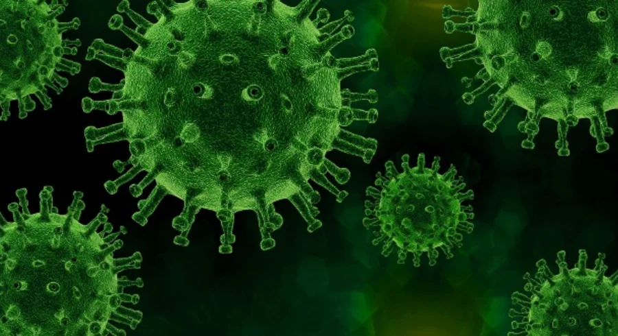 virus-4931041_1920_1.jpg