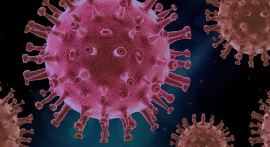 virus-4937553_1280.jpg