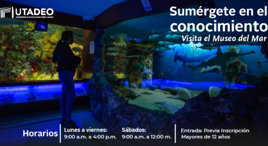 web-museo_del_mar.png