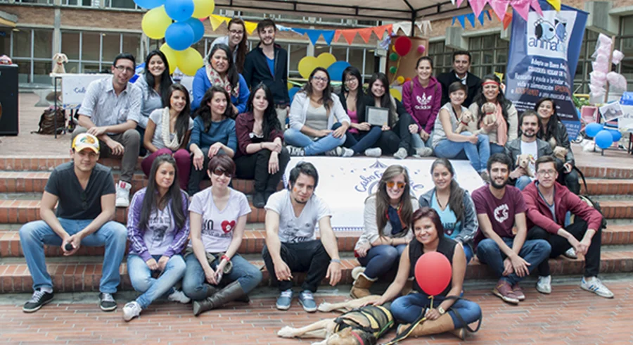 web_cabo_festival_20140515_011.jpg