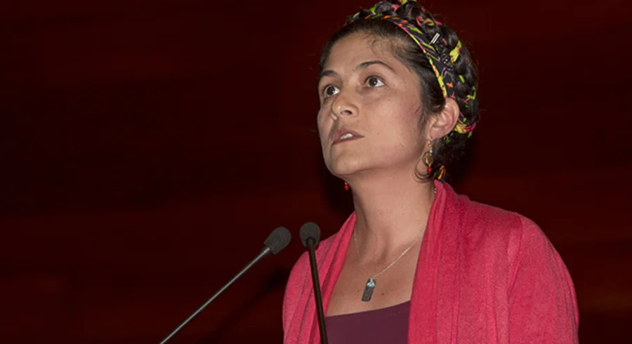 webnota_creaccion_dia_2_20150923_009.jpg