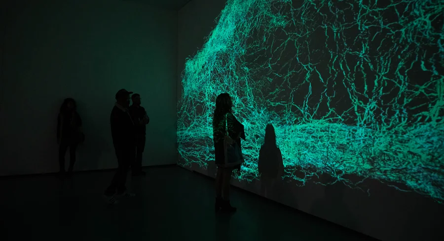 xenopaisajes.festivaldelaimagenutadeo2023.1.jpg