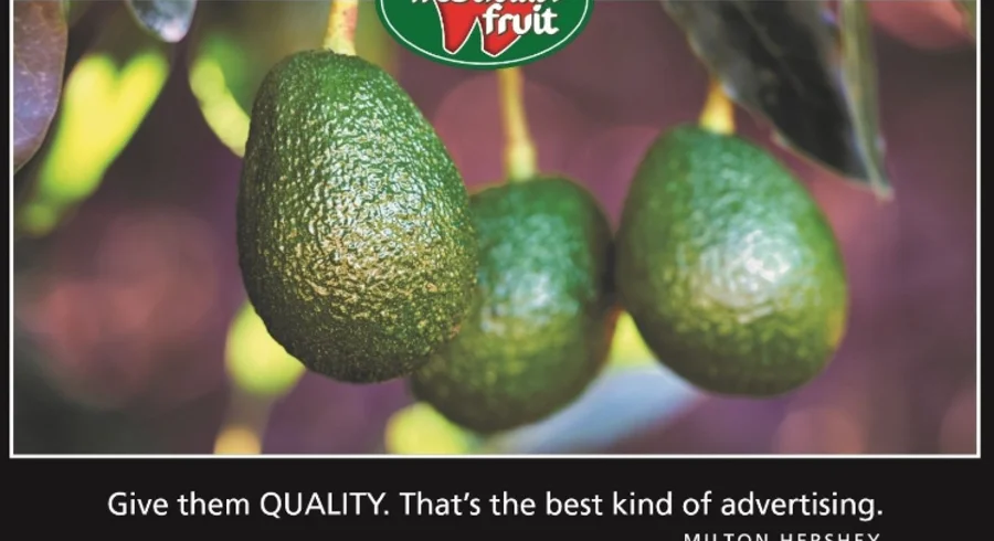 aguacate_hass.jpg