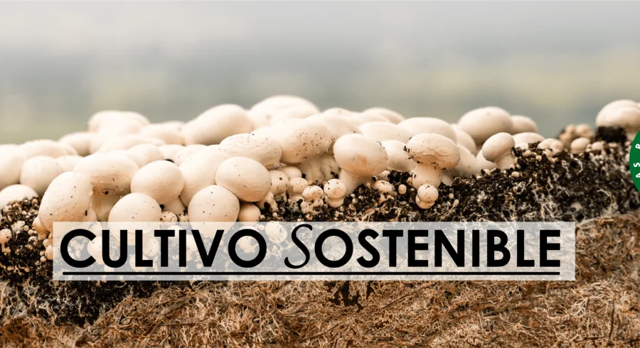 banner_cultivo-sostenible.png