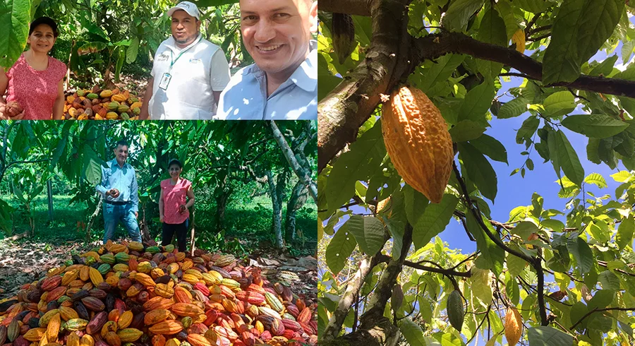 cacao.utadeo.fcni_.2022.3.jpg