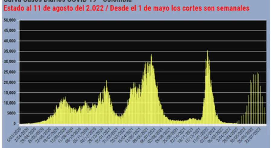 casos_covid_11_de_agosto_2022.png