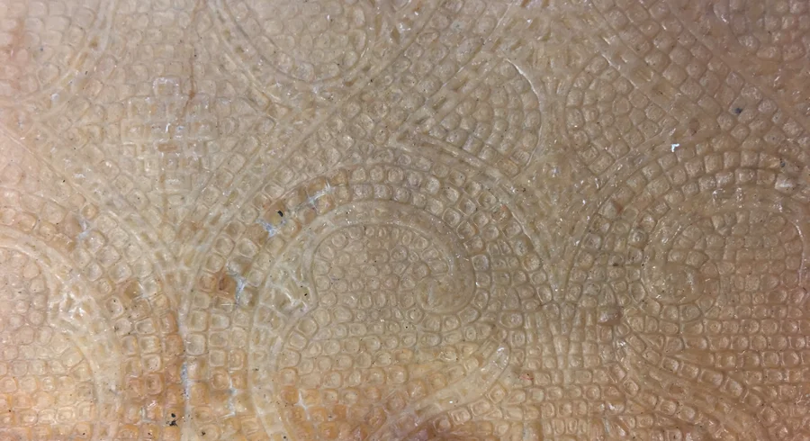 celulosa_bacteriana_texturizada.jpg