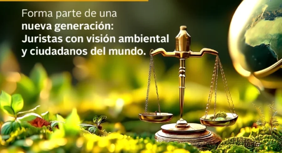 derecho.webp