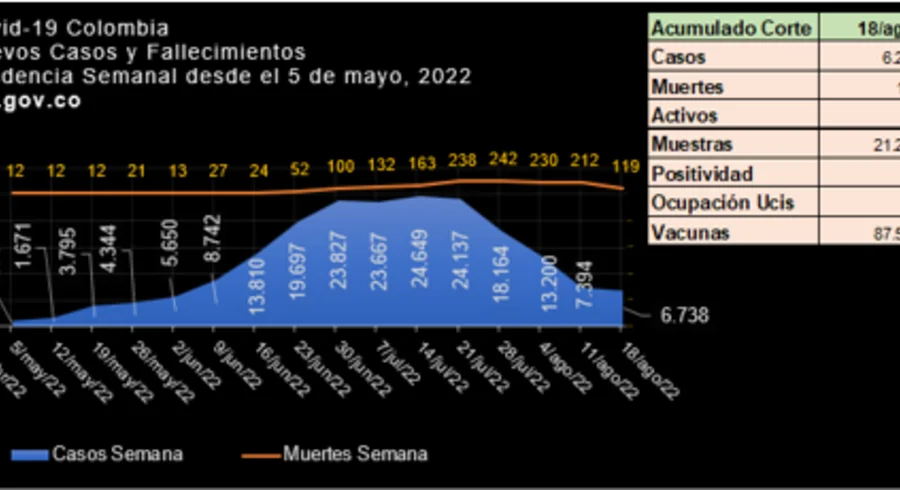 grafico_covid_agosto_19_de_2022.png