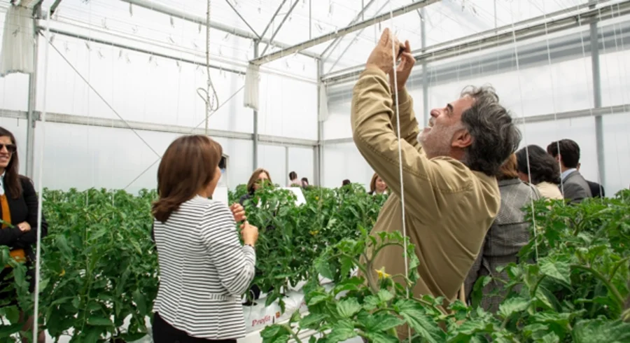 horticentro.centrodebiosistemas.universidadjorgetadeolozano.chia_.utadeo.43.jpg