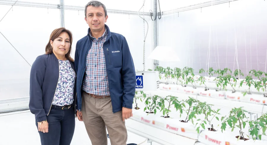 hortisumulador.centrodebiosistemas.universidadjorgetadeolozano.fotos_.fotografias.chia_.colombia.utadeo.tadeo_.43.jpg