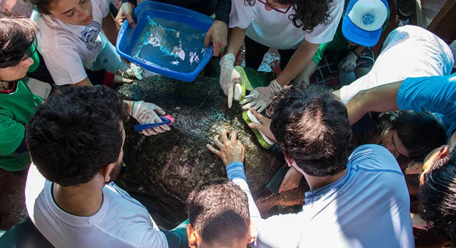marcacion-2.jpg