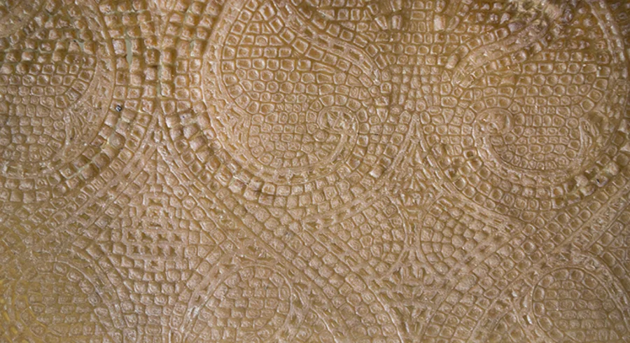 nanocelulosa_de_origen_bacteriano.jpg