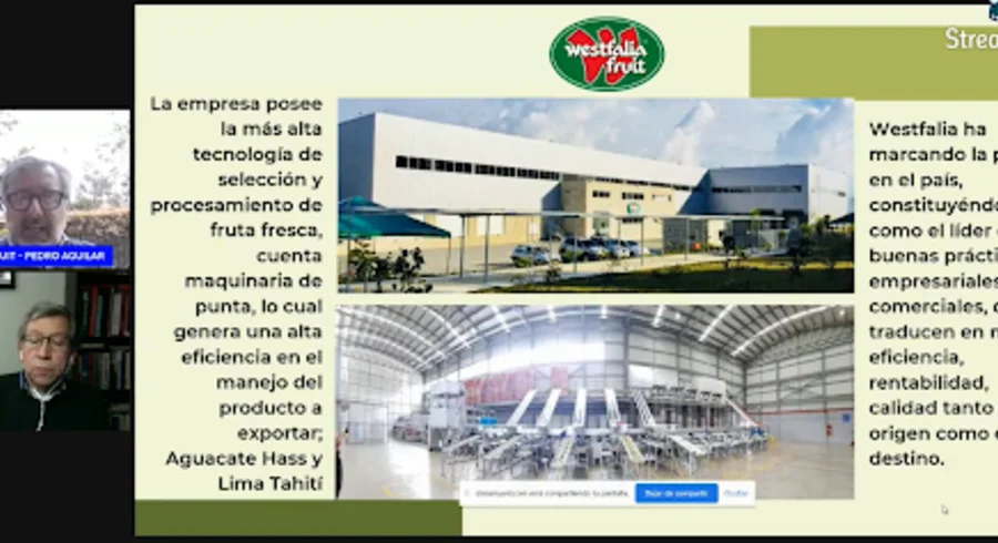 planta.png