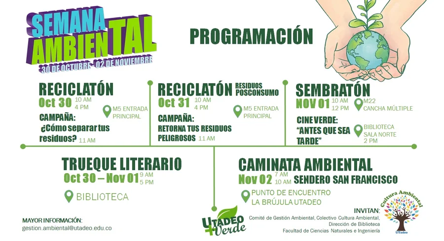 programacion.jpg