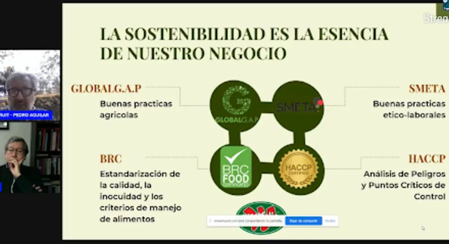 sostenibilidad.png