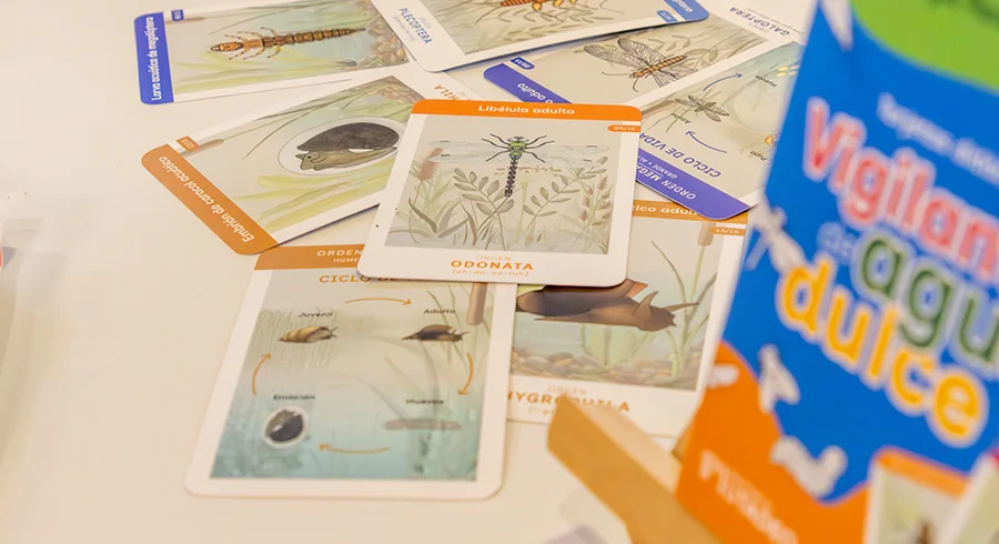vigilantes-agua-dulce-cartas_1.jpg