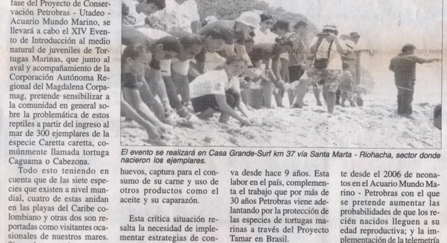 tortuguitas.jpg